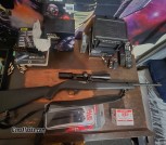 Ruger 10/22 with Simmons scope