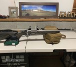 Tikka Stainless/Laminate .243