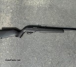 Ruger 10/22