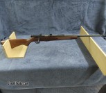 Savage Model 93, 22 Mag.