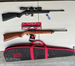 Marlin and Ruger .22