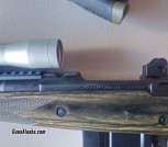 Ruger Gunsite Scout .308win