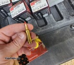 .17 Hornet rounds 