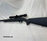 Ruger 10/22 in 17HM2 Caliber