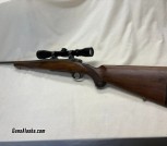 Ruger M77 .243 Win.