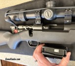 gun1