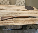 Winchester semi auto 22 LR