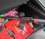 Springfield Saint AR-15 5.56 & .223
