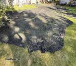 3IMG_9093