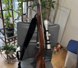 300 win mag vanguard 