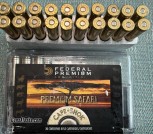 416 rem mag ammo