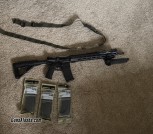 Delton echo 5.56 