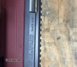 Ruger 10/22  