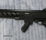 Ruger 10/22 Tactical (38)
