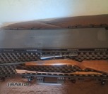 Left Side #1