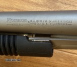 IMG_1711