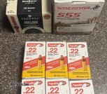 22lr ammo