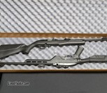 Citadel Trakr and Rossi RS22 - .22 semi-auto rifles