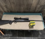 Remington 700 30-06 w/4x12 Nikon scope