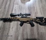 Ruger rpr .17 hmr