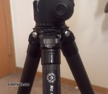F56CEA0B-79A9-49C3-BDF2-95FD290F2851