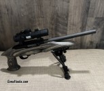 Ruger Charger 22 w/ Bi-pod & Bushnell Trooper red dot 