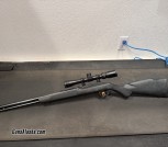Marlin 60 in 22LR
