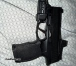 Sig P365X Package