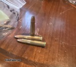 .22 Hornet SJHP