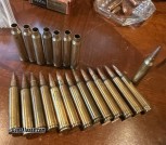 .300 WinMag SJHP