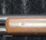 Century Arms Lever Action Shotgun 