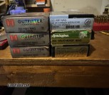 IMG_1279
