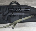 Springfield 2020 22LR