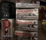 30-30 ammo