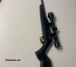 Derya semi auto .22