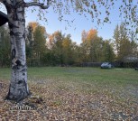 IMG_5136