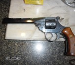 Sportsman 22 9 shot