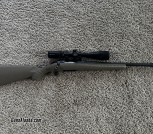 Ruger American ranch 5.56