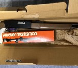 Winchester Model 190, .22 (94)