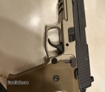 Sig p220 combat 