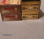300wsm 