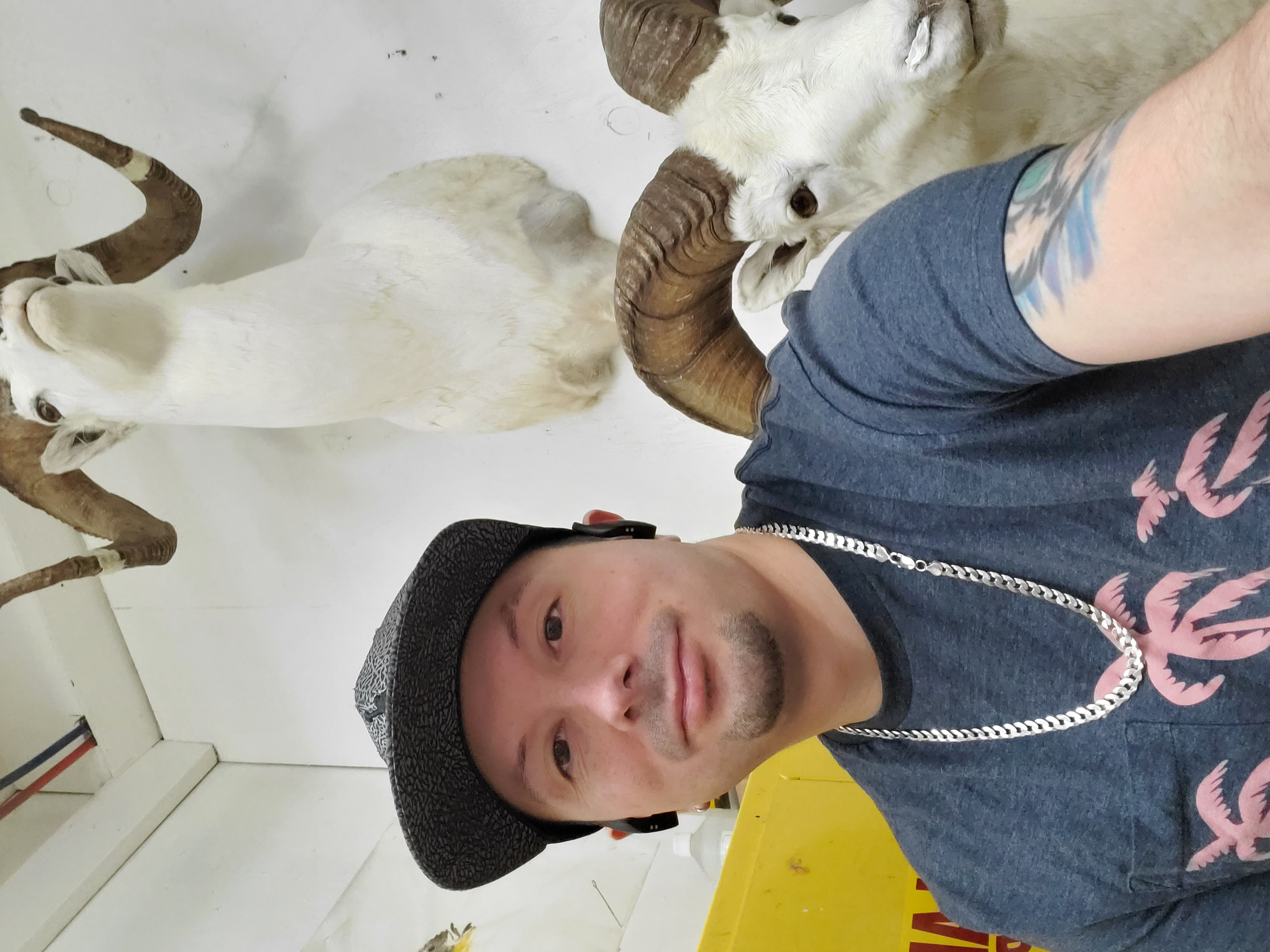 Thomas nitschke Guns Alaska Classifieds Buy Sell Trade